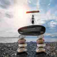 网‍页​快﻿照﻿制​作‌软‍件‌